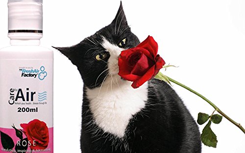 FÜR LUFT LUFTREINIGER – CareforAir Rosa-essenz 200mL – Boost Selbstwertgefühl und Vertrauen – Verbesserung Der Stimmung, lindert Angst und Stress, Fördert die Romantik und erhöht die libido – Blumiger Duft Stieg – Einfach Herrlich – VERWENDEN SIE IN REVITALIZERS, IONISATOREN, LUFTBEFEUCHTER 100% Produkt Zufriedenheitsgarantie - 6