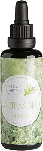 ‹Imun› Artemisia annua Extrakt – Einjähriger Beifuss aus Teneriffa