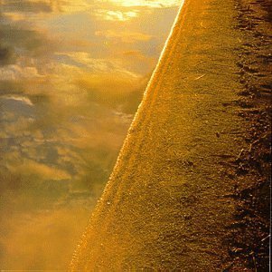 Price comparison product image R7 by Rosenberg 7 (1999-06-08)