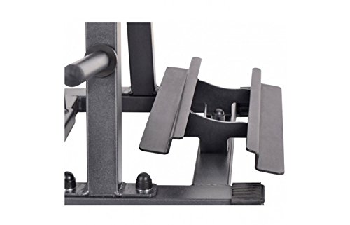 PHL HantelstÃ¤nder fÃ¼r Gewichte Kurzhanteln und Hantelstangen P40-R07 by PHL - 6