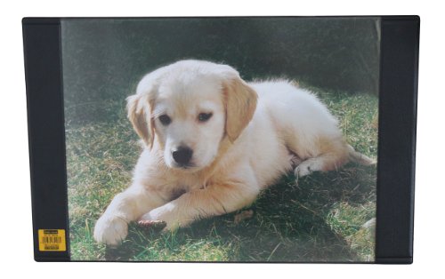 Preisvergleich Produktbild Idena 350106 - Schreibunterlage Hund