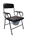 Produktbild jiaminmin Kommode Nachttisch klappbar für Senioren Handy Schwangere Frauen Notebook WC Sitz WC Comoda Stahl-Header Tuben 3 in 1 Edelstahl WC Edelstahl gota-brazo Comoda Comoda Stuhl-Dusche