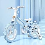 Trike 3 Wheel Tricycle 