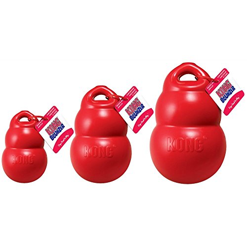 Kong-Bounzer-Parent