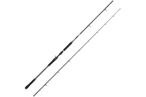 ‎ABU GARCIA Abu Garcia Beast X Casting Rod, Freshwater Angler Fishing for Pike Perch & Zander, Strong Leightweight & Versatile, Green, Ambidextrous Carbon Fish Rod