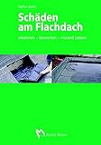 Image de Schäden am Flachdach