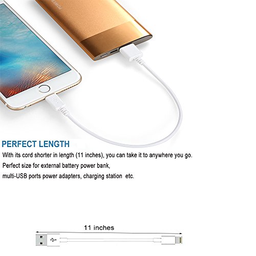 iPhone Charger Lightning Cable [4 Pack], EReach 11â€™â€™ Short Lightning to USB Sync and Charging Cable/Cord for iPhone 7 plus/7/6s plus/6s/6 plus/6/5s/5c/5, iPad Mini, iPad Air, iPod/iPod Touch (White)