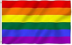 Progress Pride Flaggen – 12 Stück Kleine LGBT-Flaggen Mit Stab (20x30 Cm, Polyester)