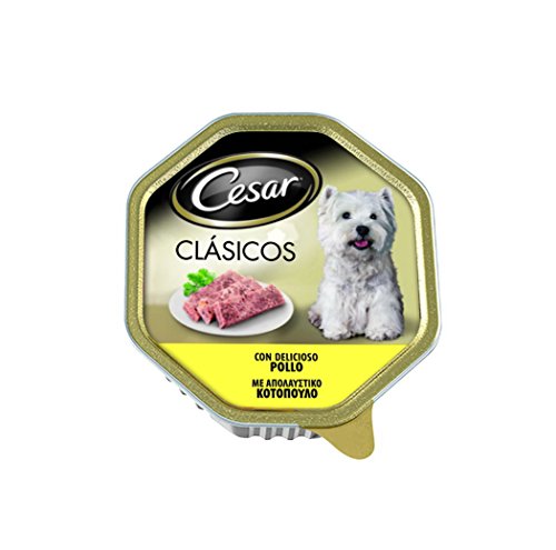 Preisvergleich Produktbild CESAR Terrine de pâtée au poulet pour chien - 150 g