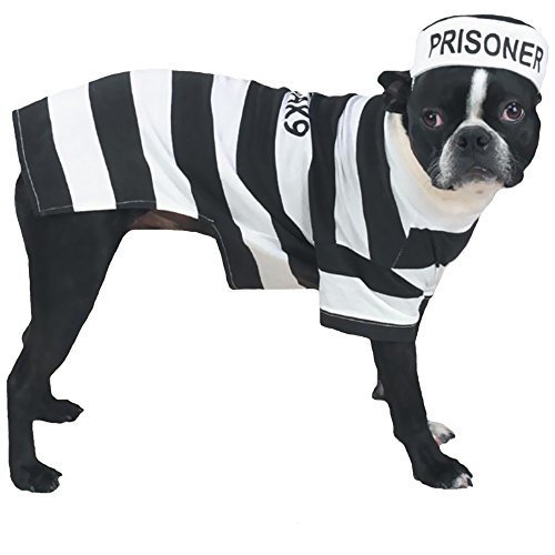Preisvergleich Produktbild Casual Canine Prison Pooch Costume, Small by PetEdge Dealer Services