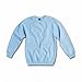 SG Mens Raglan Sleeve Crew Neck Sweatshirt (2XL) (Royal)