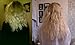 HAIR JAZZ shampoo and conditioner hair growth accelerator (2x 250ml). Anti-fall regrowth balm mask Lotion