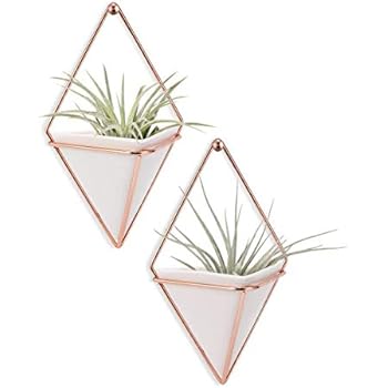 Lot de 2 jardinières de bureau & pots géométriques trigg umbra - noir