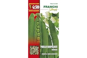 Semi Pisello Rampicante Telefono Franchi Sementi 500g