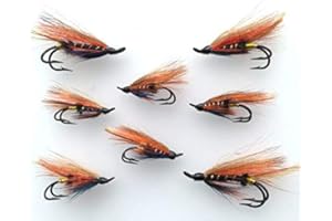 BestCity Moscas de salmón para pesca con mosca, tamaño 4 – 10, paquete de 8 moscas # 166