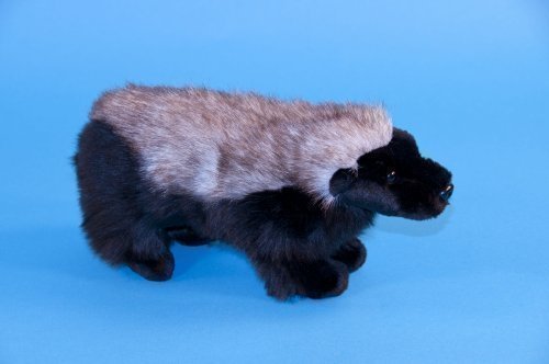 Price comparison product image Dowman Soft Touch Honey Badger 28cm Soft Toy