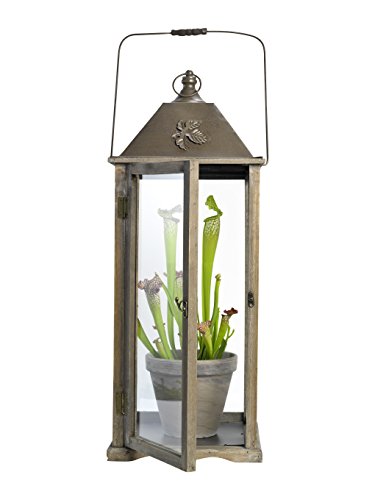 Mica Decorations 352707-T Laterne, Windlicht, Deko Holzl Metalldach, Kerzenleuchter, Kerzenhalter,Gartenleuchte Dekoration Lanterne, braun - 2