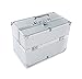 Extra Large Space Storage Beauty Box Make up Nail Jewelry Cosmetic Vanity Case (Silver)