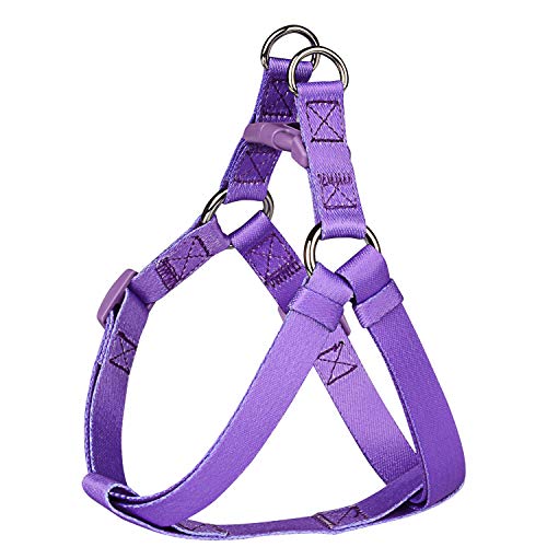 PetLoft Cablaggio del Cane, Morbido Struttura Regolabile Imbragatura per Cane in Divertente Stampa Doppia in Acciaio Inox Anelli e Durevole Guinzaglio Easy Clip (Viola, M)