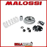 variador malossi multivar Compatible con vehículos de la marca:Kymco.