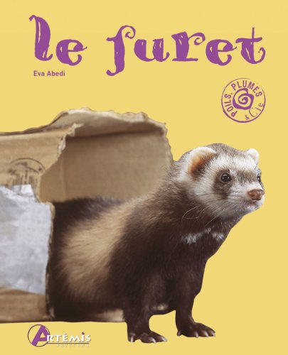 Download LE FURET Download LE FURET