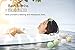 The Escential Co. Bath Bomb Gift Set, Organic and Natural Bath Bomb Essential Oils Set, 6 VARIETIES AND FRAGRANCES