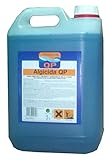  Qp - Algicida 5 l. garrafa