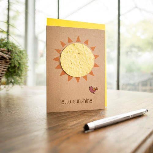 Hello sunshine ✿ The sun dissolves into flowers (seeded paper) ✿ Greeting card for high spirits
