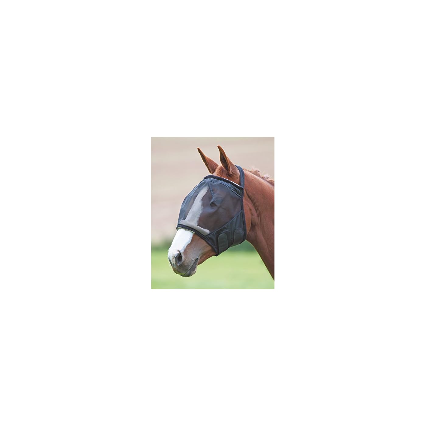 Horse ‘n’ Pony