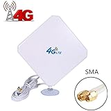 SMA 4G Hochleistungs LTE Antenne 35dBi Netzwerk Ethernet Verstärker-Antenne Richtantenne Signalverstärker Verstärker für Huawei B5935 B683 B686 B310 B315 E5172E5175 E5186 EB890