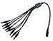 Produktbild 8 Fach DC Verteilerkabel Verteiler bis 24 Volt 5 Ampere 5,5 mm 2,1 mm Hohlbuchse Hohlstecker Y Kabel Niederspannung Niedervolt Splitter 35cm lang Gleichspannung