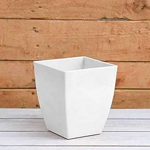 Creative Farmer Flower Pot Chatura 12 - White Colour {Pack of 2} (Plastic Pots Indoor and Outdoor Planters- Terrace Table)