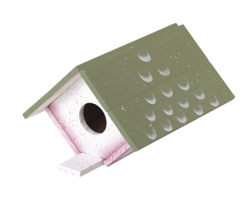 Darice Modèle 9169–05 Wood birdhouse Modèle kit