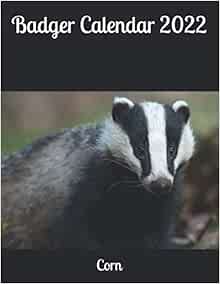 Badgers 2022 Schedule Badger Calendar 2022: Amazon.co.uk: Corn: 9798712652228: Books