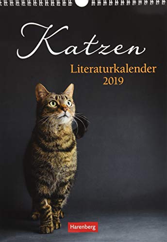 Katzen Literaturkalender - Kalender 2019
