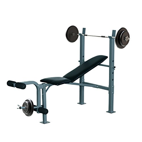 Homcom Banco de Musculación Banco de Pesas Maquina de Fitness Entrenar Musculos 165x68x114cm con Respaldo Regulable Espuma