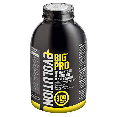 Big PRO Evolution 300