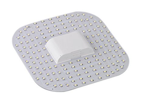 ZEYUN 12W 2D LED GR10Q Lampadina a 4 pin, lampada DD cool white 6500k, sostituzione lampada fluorescente compatta 2-D