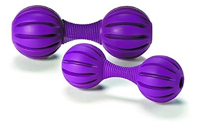 PetSafe - Jouet pour Petit Chien Busy Buddy Waggle (S), Jouet Distributeur de Friandises