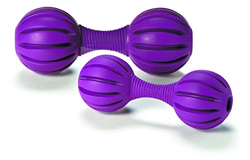 petsafe squirrel dude