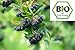 Produktbild 1 Packung Bio Aronia-Beere Kapseln , schwarze Apfelbeere, Aronia melanocarpa - 60 x 400mg Vegi-Kapseln