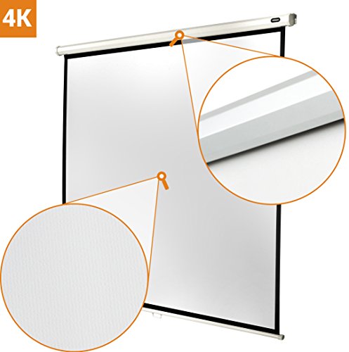 celexon pantalla manual extensible para escuela, proyección, presentación y cine en casa mural básica Economy - 220 x 220 cm - 1:1 - Gain 1,0