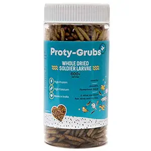 PROTYGRUBS Black Soldier Fly Larvae - 100% Natural, High Protein Fish Food for Arowana, Flowerhorn, Oscar, Parrots, and Other Carnivores (50 Gm)