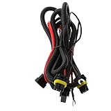 Tanto para el lado del conductor como para el lado del pasajero Faros HID
