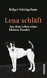 Image de Lena schläft: Aus dem Leben eines kleinen Hundes