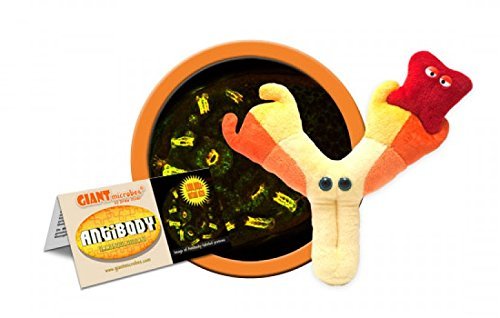 Plush Microbe: Antibody