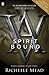Produktbild Vampire Academy: Spirit Bound (book 5)