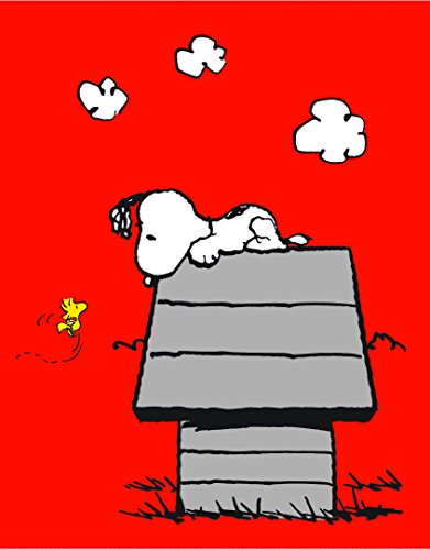 CTI 042750 Snoopy Classic Red Plaid Fleece-Decke Polyester Grau 110 x 140 cm