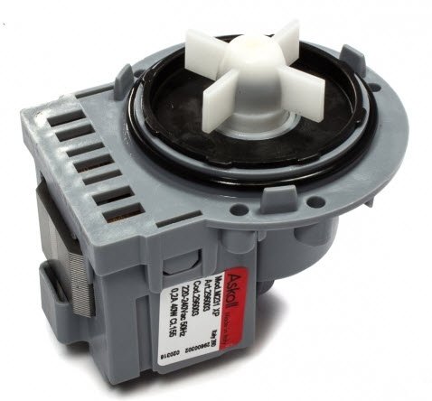 ESTANDARD Bomba TORNILLO ASKOLL