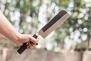 Chef-Master Teak Wood Blacksmith Kitchen Knife (32cm, Black and Brown)